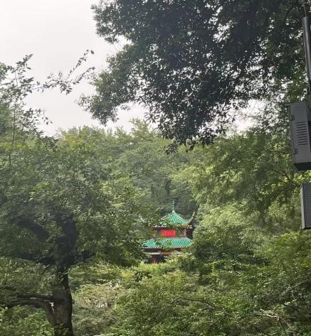 澳门六合彩资料