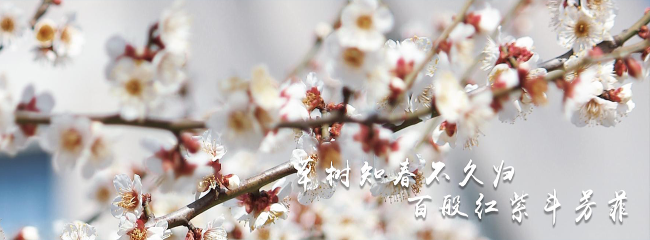 澳门六合彩资料